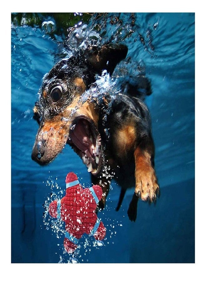 Smart Pups Dog Latex Squeaky Star Shape Puppy Pet Toy (Large) Pack of 1 - Image 5